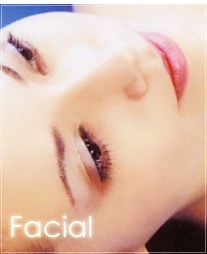 ��˥塼����2